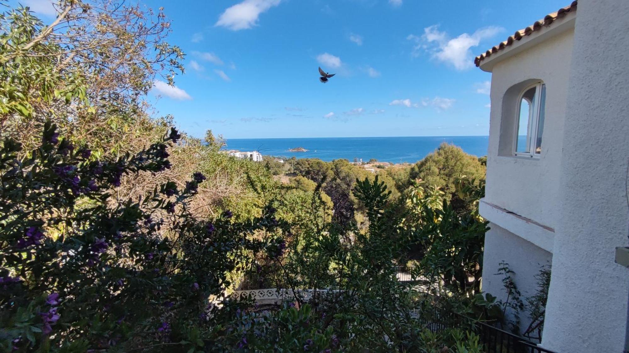 Casa Alberto - *